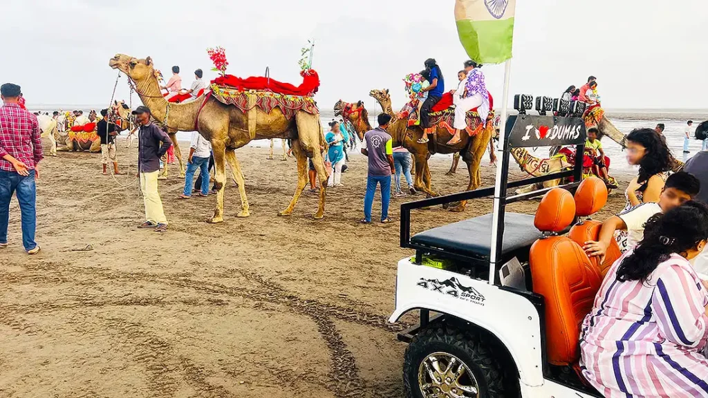 Camel ride and toy 4x4 gaadi at Dumas Beach Surat