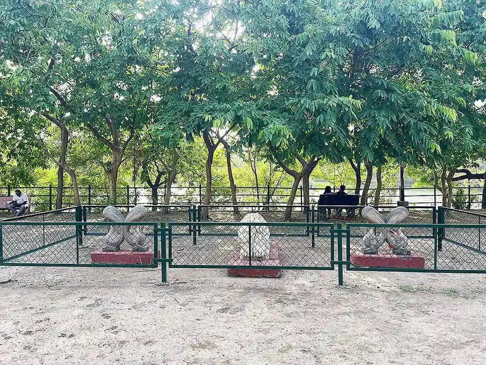 Couple sitting in Botanical Garden Surat during afternoon under shady green trees