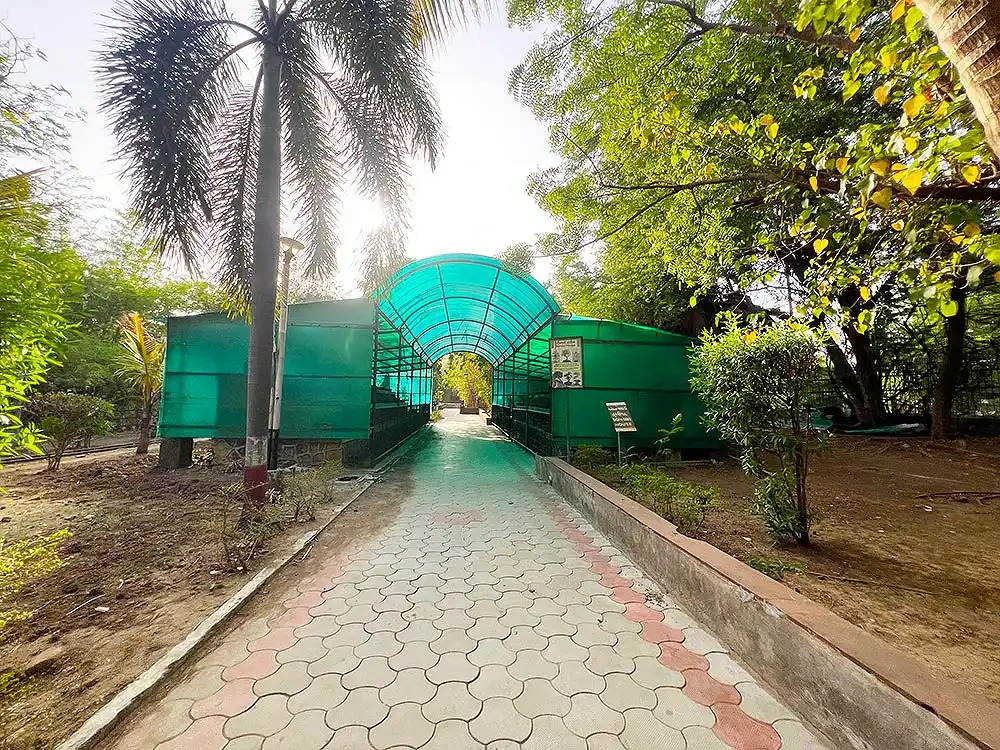 Bonsai House entrance at Botanical Garden Surat with green tunnel structure and paved walkway
