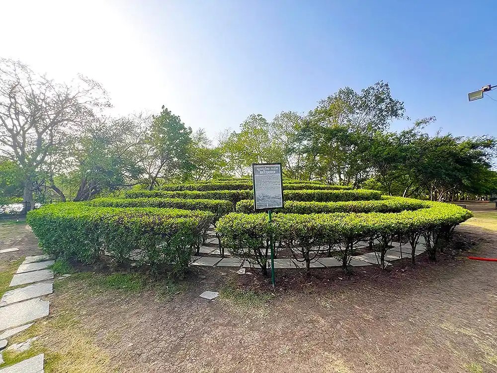 Round circle shaped trimmed hedge design at Botanical Garden Surat with green trees in background