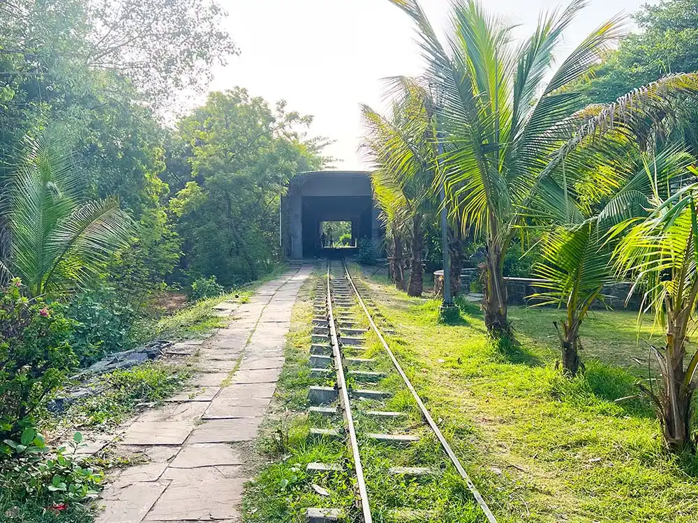 Train track with tunnel ahead at Botanical Garden Surat surrounded by palm trees and green grass