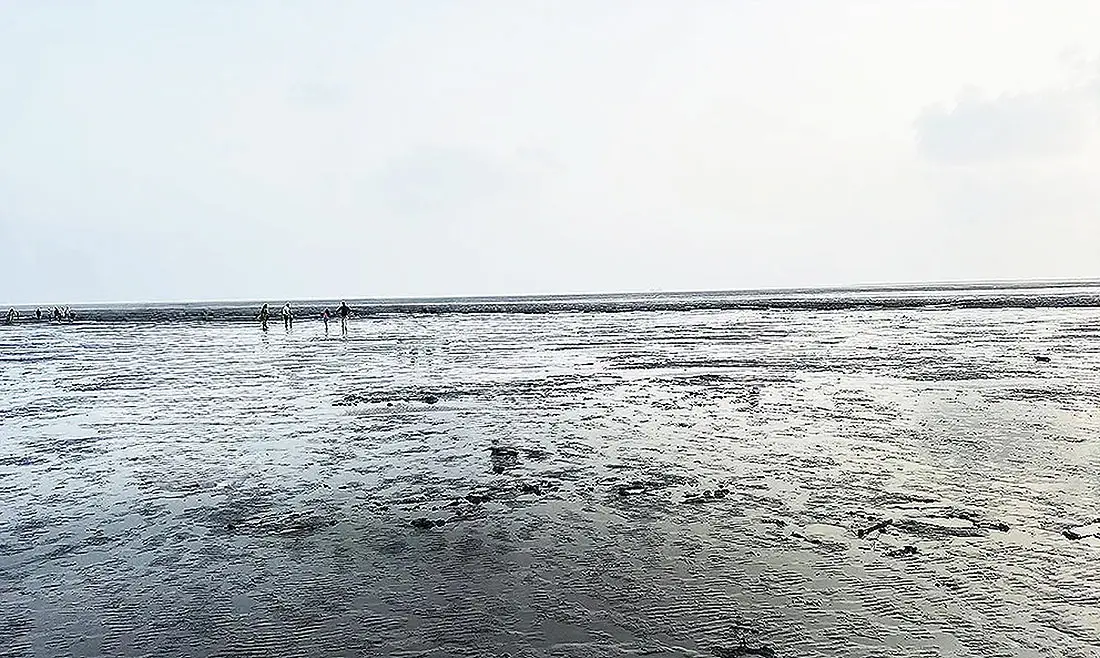 Wet sand exposed during low tide at Dumas Beach Surat