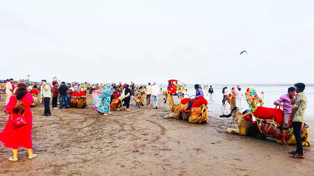 Dumas Beach Surat with camels, toy train, and visitors