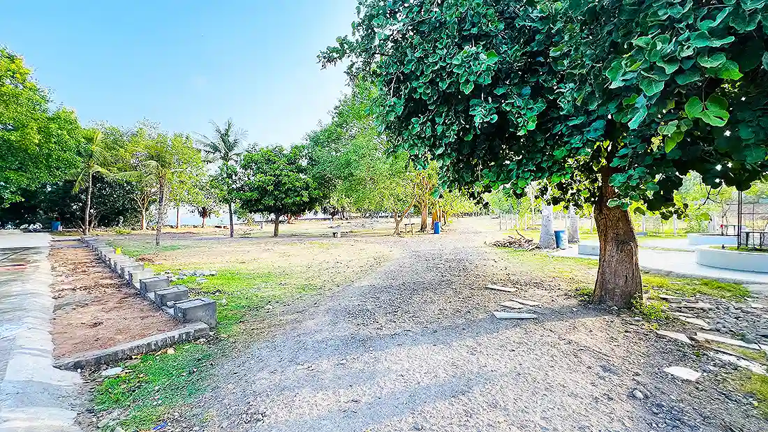 Leafy garden area at the Jahangirpura ashram with shady trees, grass patches and a paved seating spot on the right