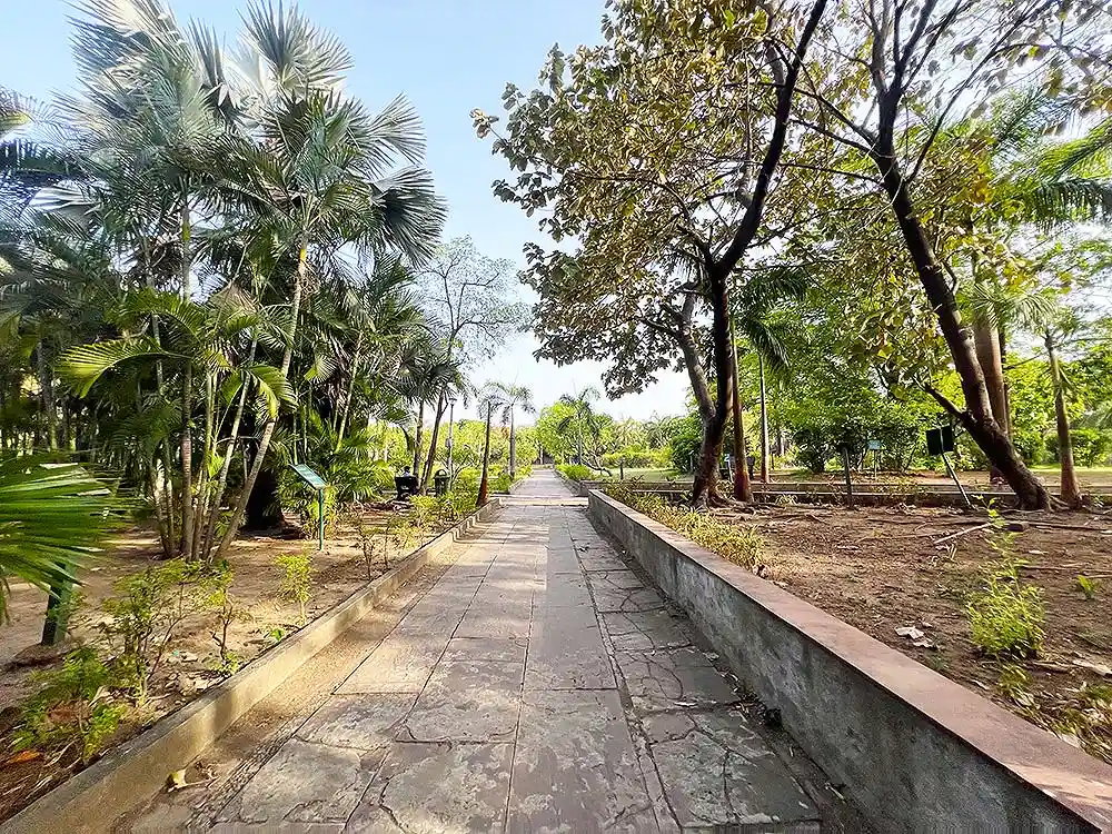 Inside view of Sneh Rashmi Botanical Garden Surat with long paved path and tall palm trees
