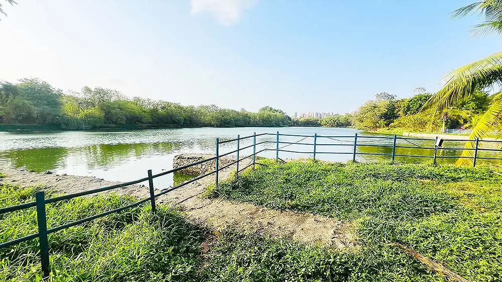 Lake view at Sneh Rashmi Botanical Garden Surat with green grass and trees surrounding the pond