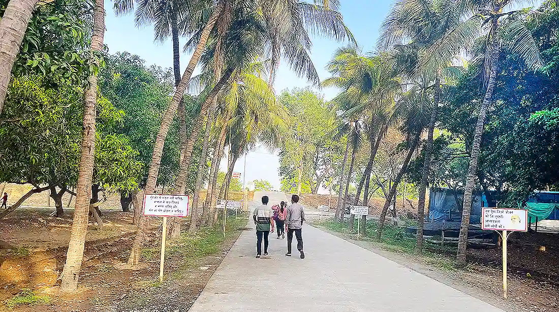 Visitors walking along a coconut tree lined path at the Jahangirpura ashram, with signboards and greenery on both sides